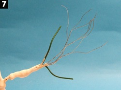 fig-7
